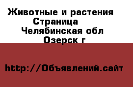  Животные и растения - Страница 10 . Челябинская обл.,Озерск г.